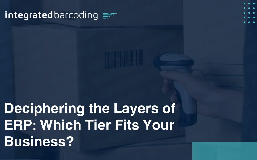 Deciphering the Layers of ERP: Which Tier Fits Your Business?